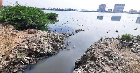 பல்லாவரம் ரேடியல் சாலையில் உள்ள ஏரியில், அதைச் சுற்றியுள்ள குடியிருப்பு பகுதியில் இருந்து வரும் கழிவுநீர் கலக்கிறது. இதனால் ஏரி மாசடைந்து உள்ளதால், ஏரிக்கு கழிவுநீர் வராமல் தடுத்து சுத்தம் செய்து பாதுகாக்க வேண்டும் என்பதே அனைவரின் கோரிக்கையாக உள்ளது. படம்: எம்.முத்துகணேஷ்