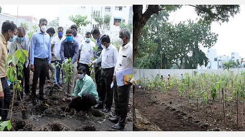 மியாவாக்கி அடர்வனம்; கே.கே.நகரில் 6,450 சதுர அடியில் 1,650 மரக்கன்றுகள் நடப்பட்டன: சென்னை மாநகராட்சி ஆணையர் பிரகாஷ் ஆய்வு 
