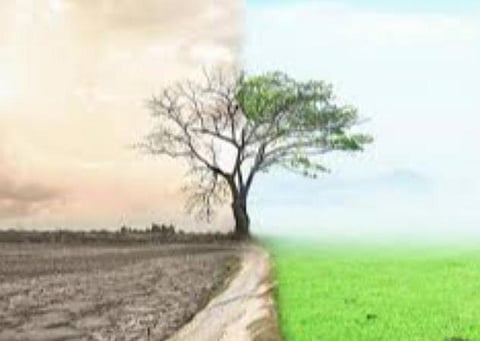 பிரதிநிதித்துவப் படம்