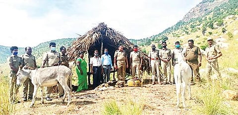 ஆம்பூர் அடுத்த மேல்குப்பம் ஊராட்சி தரைக்காடு பகுதியில் சாராயம் தயாரிக்க பயன்படுத்தப்பட்ட மூலப்பொருட்களை பறிமுதல் செய்த வனத்துறையினர், அங்கிருந்த சுமை தூக்கும் கழுதைகளையும் மீட்டனர்.