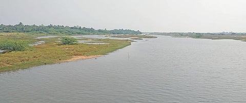 வாயலூர் பாலாற்று தடுப்பணையால் கரையோர கிராமங்களில் நிலத்தடி நீர்மட்டம் 20 அடி உயர்வு: கல்பாக்கம் நகரியப் பகுதியின் 100 சதவீத குடிநீர் தேவை பூர்த்தி