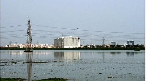 பள்ளிக்கரணை சதுப்புநிலம்