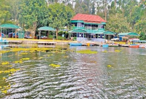 ஏற்காடு ஏரியில் படகு சவாரி: 8 மாதங்களுக்குப் பின்னர் தொடக்கம்