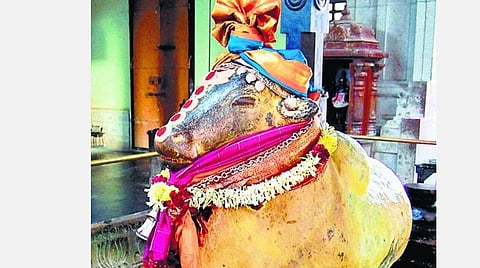 பிரதோஷம்... சிவராத்திரி... அமாவாசை! 
