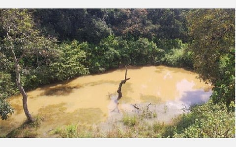 தொடர்மழையினால் பெரியகுளம் அருகே அடுக்கம் வனப்பகுதியில் ஏற்பட்டுள்ள சிறிய நீர்த்தேக்கம்.