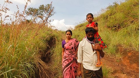 முதல் பார்வை: தேன்