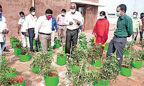 சென்னை மாநகராட்சியின் மணலி மண்டல அலுவலக மாடியில் அமைக்கப்பட்டுள்ள மாடித் தோட்டத்தை பார்வையிடுகிறார் மாநகராட்சி ஆணையர் கோ.பிரகாஷ். உடன் மாநகராட்சி வடக்கு வட்டார துணை ஆணையர் பி.ஆகாஷ் உள்ளிட்டோர்.
