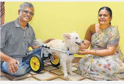 பின்னங்கால் செயல்படாத நிலையில் நடக்க முடியாமல் தவித்த நாய்க்குச் சக்கர நாற்காலி: கோவை தந்தை, மகளுக்குப் பிரதமர் பாராட்டு