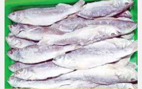 100 கிலோ மீன்களுக்கு 60 கிலோ கருவாடு- கிராம மக்களின் விருப்பமான உணவு