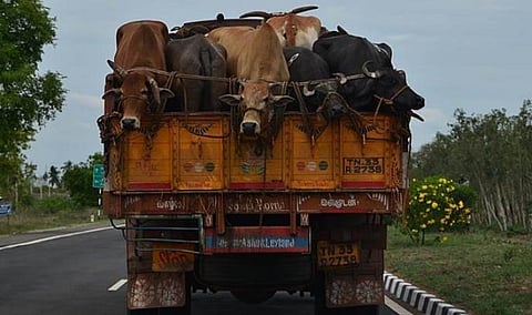 கோப்புப்படம்