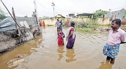 வடகிழக்குப் பருவமழை  நிறைவடைய உள்ள நிலையில், வளி மண்டல மேலடுக்குச் சுழற்சி காரணமாக மதுரையில் கடந்த சில நாட்களாக தொடர்மழை பெய்து வருகிறது. மதுரை கனகவேல் காலனியில் குடியிருப்புகளை  சூழ்ந்திருக்கும் மழைநீர். (அடுத்தபடம்) தெருக்களில் தேங்கி நிற்கும் நீரில் இரு சக்கர வாகனங்களை உருட்டிச் செல்லும் பொதுமக்கள்.படங்கள்: எஸ்.கிருஷ்ணமூர்த்தி