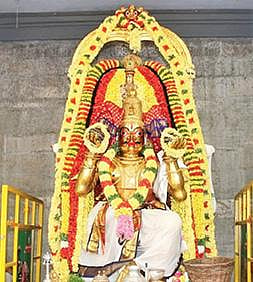 திருவள்ளூர் வீரராகவ பெருமாள்  கருட வாகனத்தில் எழுந்தருளி பக்தர்களுக்கு அருள்பாலித்தார்.