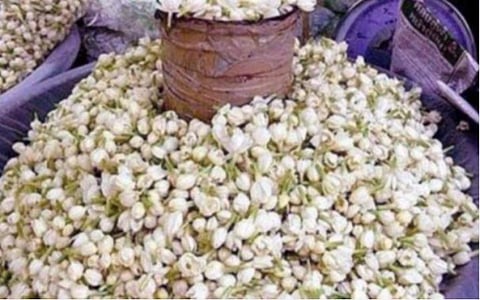 பொங்கல் பண்டிகையை முன்னிட்டு அதிகரித்த பூக்களின் விலை: மல்லிகை ரூ.4000, முல்லை- ரூ.2000, கனகாம்பரம் ரூ.1200 