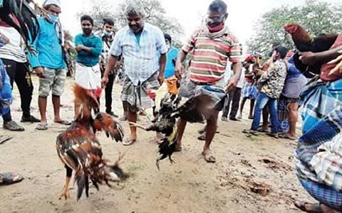 கோப்புப் படம்