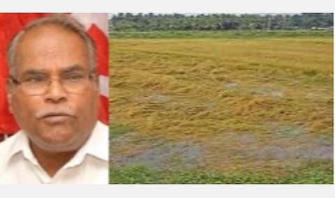 டெல்டா உள்ளிட்ட பெரும்பாலான மாவட்டங்களில் கனமழை; நீரில் மூழ்கி நாசமடைந்த பயிர்களுக்கு ஏக்கருக்கு ரூ.30 ஆயிரம் நஷ்ட ஈடு: மார்க்சிஸ்ட் கோரிக்கை