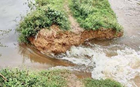 தஞ்சாவூர் அருகே மாமுண்டி ஏரிக் கரையில் உடைப்பு 100 ஏக்கர் பயிர்கள் நீரில் மூழ்கின