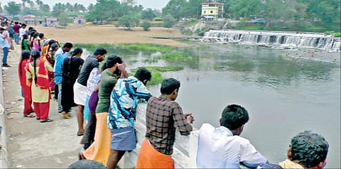 பொங்கல் விடுமுறையை கொண்டாட கோபியை அடுத்த கொடிவேரி அணைக்கு வந்த சுற்றுலாப் பயணிகளுக்கு அனுமதி மறுக்கப்பட்ட நிலையில், எதிர்பகுதியில் உள்ள உயர்மட்ட பாலத்தில் இருந்து ஏக்கத்துடன் அருவியைப் பார்க்கும் சுற்றுலாப்பயணிகள்