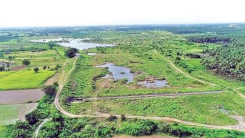 மிகக் குறைந்த அளவு தண்ணீருடன் காணப்படும் கோதவாடி குளம்.