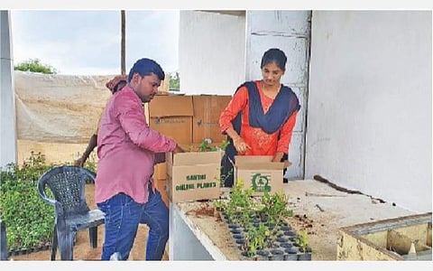 வலைத்தள வழி விற்பனைக்காக செடிகளை தன் மனைவியோடு சேர்ந்து தயார் செய்யும் சக்திவேல்.