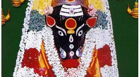 பஞ்சமியில் வாராஹிக்கு செவ்வரளி! 