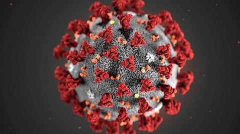 24 மணிநேரத்தில் புதிதாக 13,788 பேருக்கு கரோனா பாதிப்பு