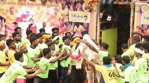பெரிய சூரியூரில் ஜல்லிக்கட்டு கொண்டாட்டம் தொடக்கம்