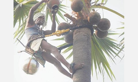 கள்ளுக்கான தடையை நீக்காவிட்டால் சட்டப்பேரவைத் தேர்தலில் நெருக்கடி கொடுப்போம்: தமிழ்நாடு கள் இயக்கம்