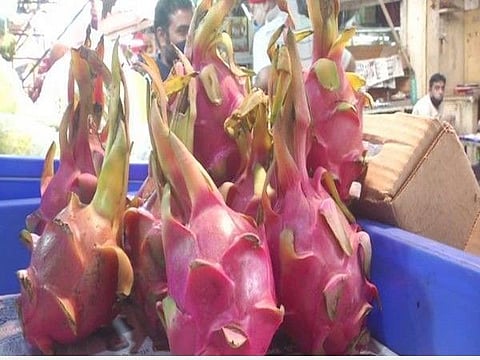 கமலம் எனப் பெயர்மாற்றம் செய்யப்பட்ட டிராகன் பழம் : படம் ஏஎன்ஐ