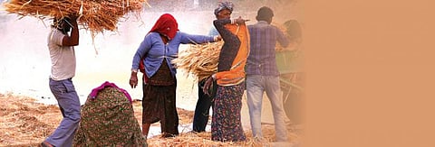 வேளாண் துறையின் அடிப்படைச் சிக்கல்கள் என்னென்ன?