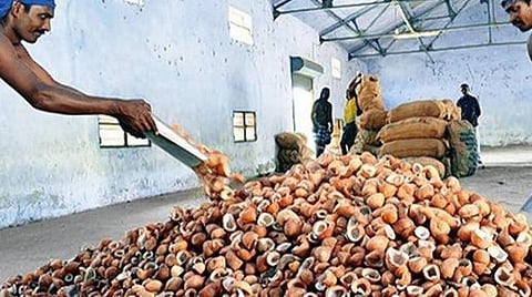 கொப்பரைத் தேங்காய்க்கு குறைந்த பட்ச ஆதரவு விலை: ரூ.10,335ஆக உயர்வு; மத்திய அமைச்சரவை ஒப்புதல்