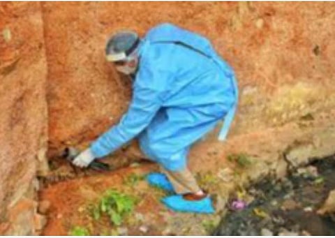 12 மாநிலங்களில் இடம்பெயர்ந்த பறவைகளுக்கு பறவைக் காய்ச்சல் பாதிப்பு
