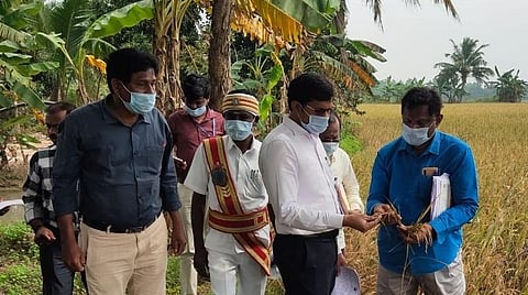 ஒரத்தநாடு அருகே சோழபுரம் மேற்கு கிராமத்தில் பயிர் பாதிப்பை நேரில் ஆய்வு செய்து, விவசாயியிடம் பாதிப்பின் தன்மையைக் கேட்டறிந்த தஞ்சை ஆட்சியர் ம.கோவிந்தராவ்.