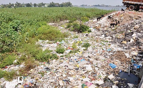 நயினார்குளம்  தண்ணீர் தற்போதுவரை விவசாயத்துக்கு பயன்படுத்தப்படும் நிலையில்  குளத்தின் சுற்றுப்புறம் முழுக்க கழிவுகளும், குப்பைகளும் கொட்டப்படுகின்றன. படம்:மு.லெட்சுமிஅருண்
