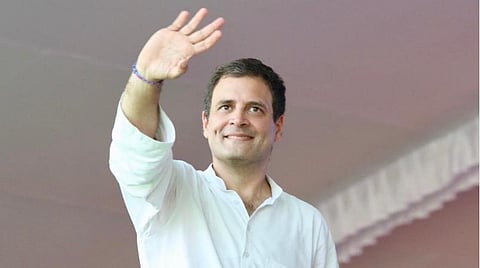 காங்கிரஸ் எம்.பி. ராகுல் காந்தி : கோப்புப்படம்