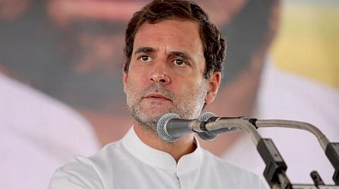 காங்கிரஸ் எம்.பி. ராகுல் காந்தி : கோப்புப்படம்