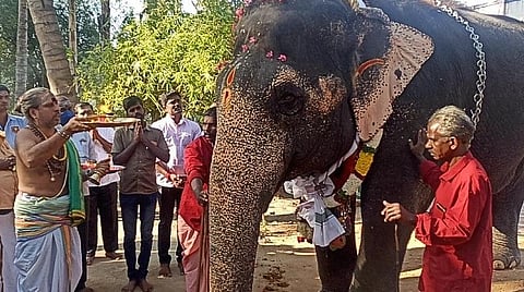 தேக்கம்பட்டி நல்வாழ்வு முகாமிற்கு புறப்பட்ட பழநி கோயில் யானை கஸ்தூரி