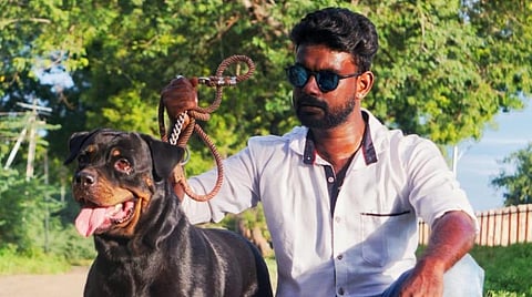 ஜல்லிக்கட்டை போல் நாய் கண்காட்சிக்கும் பிரபலமாகும் மதுரை: ரூ.50 ஆயிரம் முதல் ரூ.5 லட்சம் வரையிலான விலை உயர்ந்த நாய்கள் பங்கேற்கும் ஆச்சர்யம்