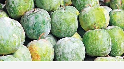 தை அமாவாசை; கண் திருஷ்டி கழிக்க உகந்தநாள்; திருஷ்டி கழியும்; தடைகள் அகலும்! 