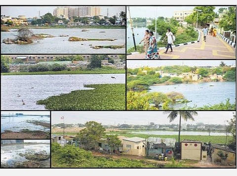 அரசு நிலங்கள், நீர்நிலைகள் ஆக்கிரமிப்புகள் அகற்றும் விவகாரம்: அரசியல் உள்ளிட்ட எதையும் அனுமதிக்கக் கூடாது- உயர் நீதிமன்றம் அறிவுறுத்தல்