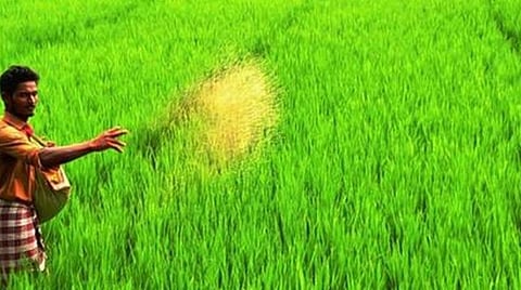 வேலைவாய்ப்பு  தகவல்கள்: விவசாயத்துறை  (டிப்ளமோ) பணி