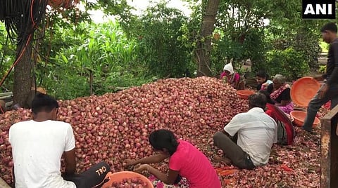 பெரிய வெங்காயம் விலை மேலும் உயரும்: நாசிக் வியாபாரிகள் அறிவிப்பு