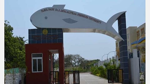 வேலைவாய்ப்பு தகவல்கள்: தமிழ்நாடு மீன்வள பல்கலைக்கழகம்  