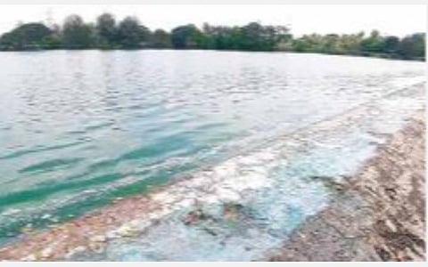 செல்லிப்பட்டு அணையில் தொழிற்சாலை கழிவுகள் கலப்பு: நிறம் மாறியதால் மீன்கள் செத்து மிதந்தன