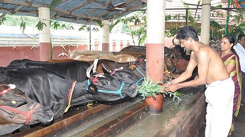 ​​​​​​​துலாம், விருச்சிகம், தனுசு ; வார ராசிபலன்கள்; பிப்ரவரி 25ம் தேதி முதல் மார்ச் 3ம் தேதி வரை