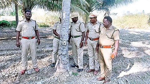பத்தாப்பேட்டை பகுதியில் தென்னந்தோப்பில் கண்காணிப்பு கேமராவை பொருத்திய வனத்துறையினர்.