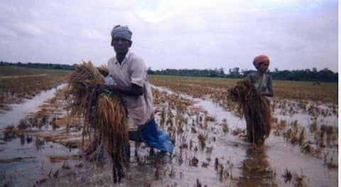 புவனகிரி