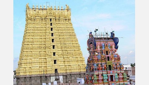 219 - சங்கரன்கோவில் (தனி)