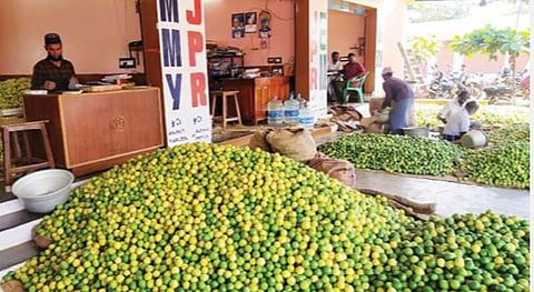 புளியங்குடி எலுமிச்சை சந்தை.