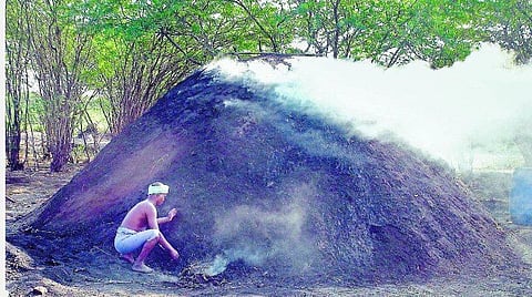 விருதுநகர் தொகுதியில் முக்கியத்துவம் வாய்ந்த கரிமூட்டம் தொழில்.