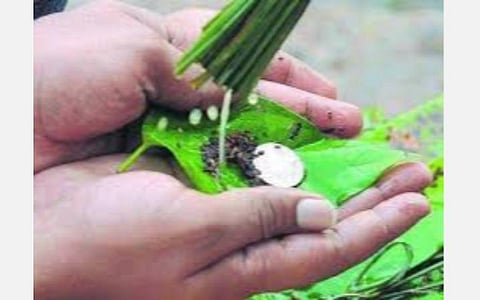 பங்குனி மாதப் பிறப்பில் தர்ப்பணம்; முன்னோர் வழிபாடு! 